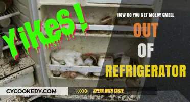 Eliminate Moldy Smells: Effective Tips to Freshen Your Refrigerator