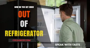 Eliminate Fridge Odors: Proven Tips to Freshen Your Refrigerator Fast