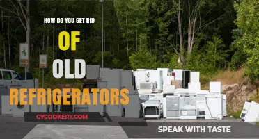 Eco-Friendly Ways to Dispose of Old Refrigerators Responsibly and Safely