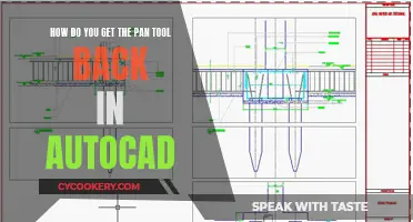 Retrieving the Pan Tool in AutoCAD: A Quick Guide