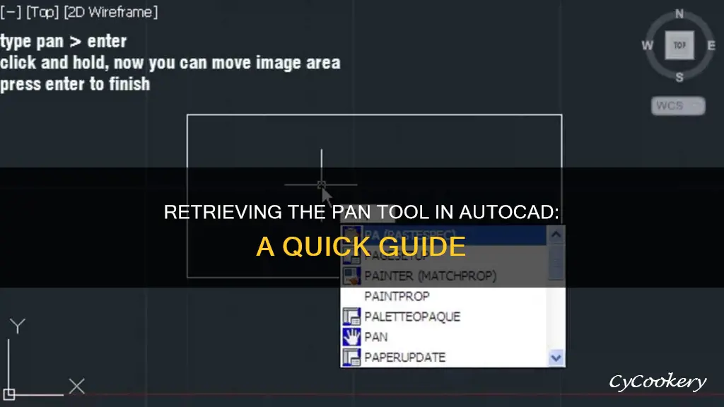 how do you get the pan tool back in autocad