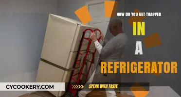 Avoiding the Chill: How to Escape a Refrigerator Trap