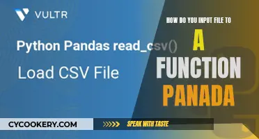 Understanding Function Input: File Handling with Pandas