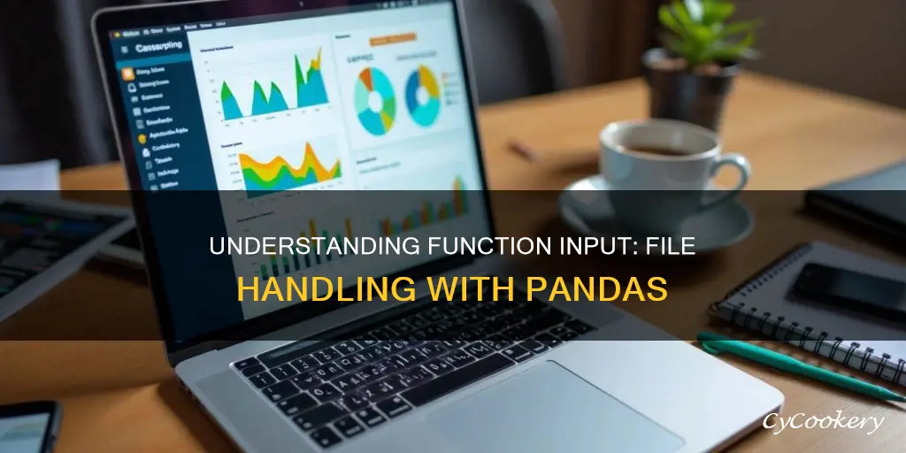 how do you input file to a function panada