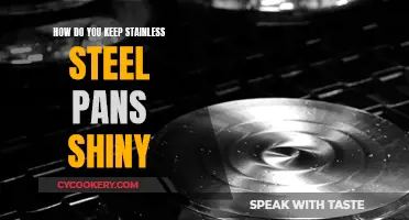 Stainless Steel Pans: Keeping Them Sparkly