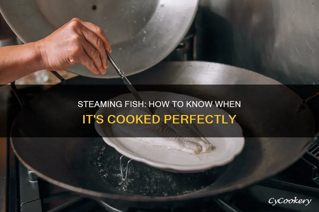 how do you know if steamed fish is cooked