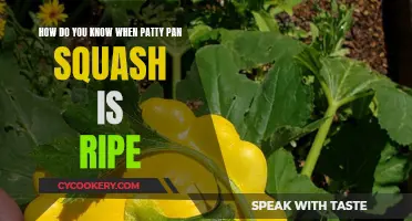 Selecting Patty Pan Squash: How to Tell When It's Ripe