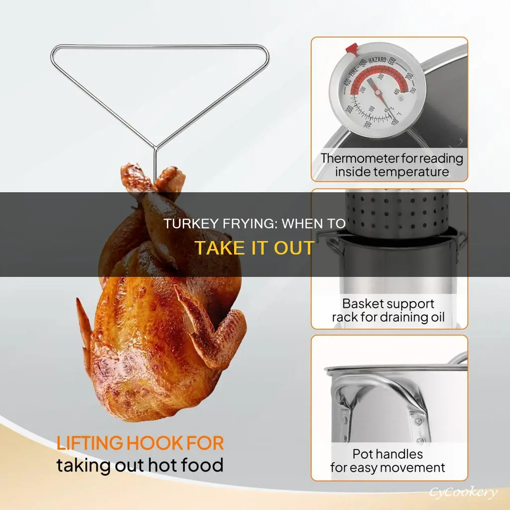 how do you know when turkey is cooked fryer