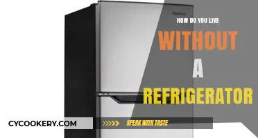 Living Fresh: Smart Tips for a Fridge-Free Lifestyle