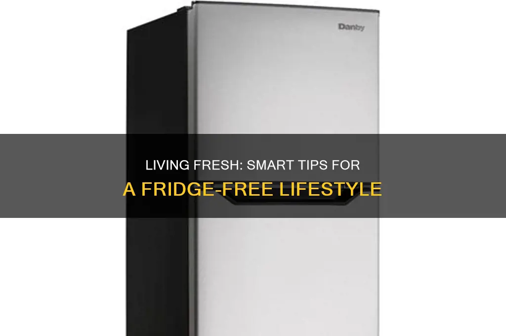 how do you live without a refrigerator