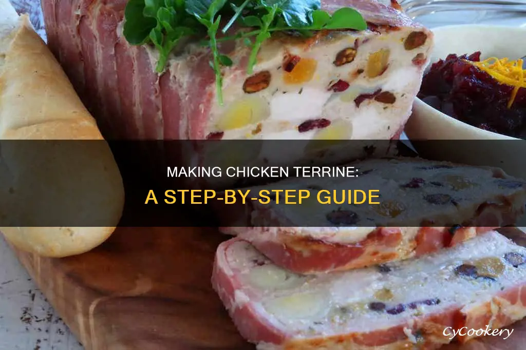 how do you make chicken terrine