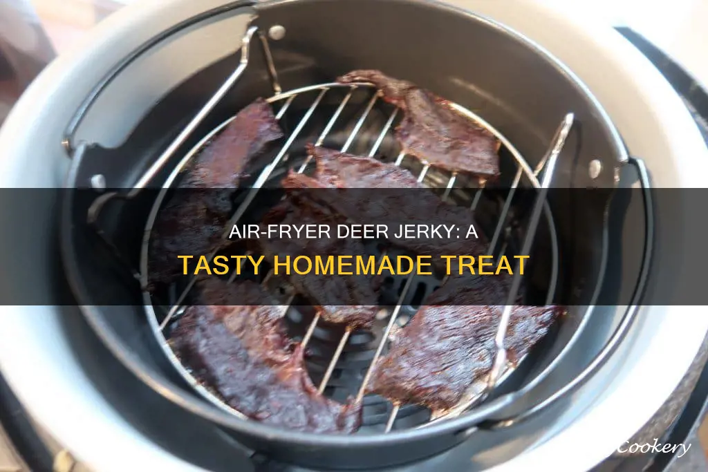 how do you make deer jerky in an air fryer