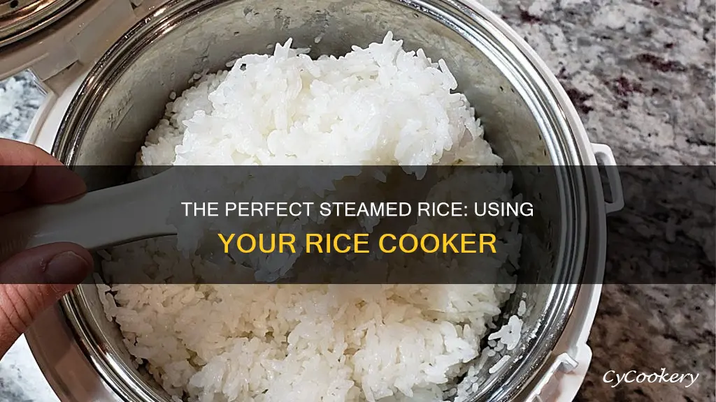 how do you make steamed rice in a rice cooker