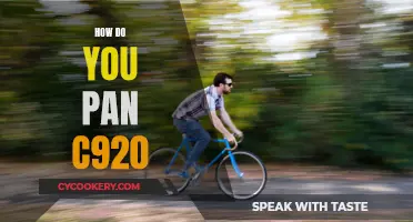 The Ultimate Guide to Panning with Your C920