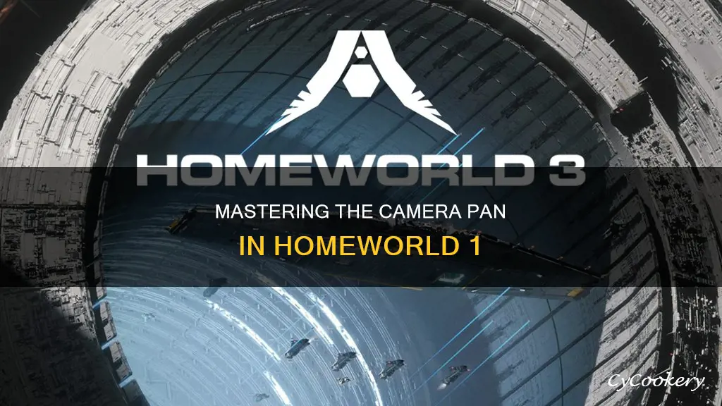 how do you pan camera homeworld 1