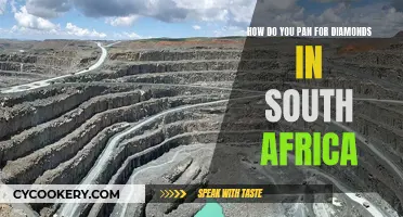 Panning for Diamonds: South Africa's Treasure Hunt