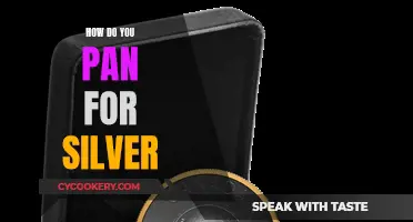 Panning for Silver: Techniques for Beginners