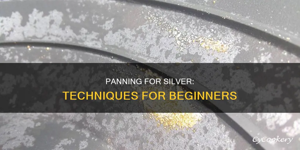 how do you pan for silver