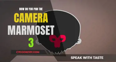 Mastering Marmoset: Camera Panning Techniques for Stunning Visuals