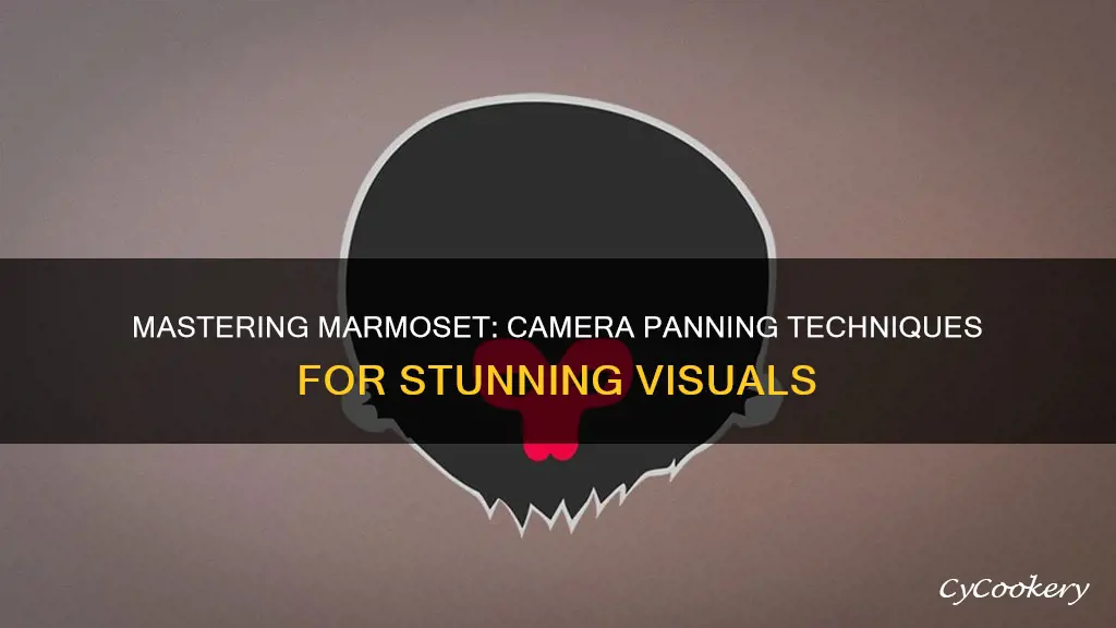 how do you pan the camera marmoset 3