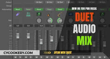 Panning a Vocal Duet: The Art of Audio Mixing