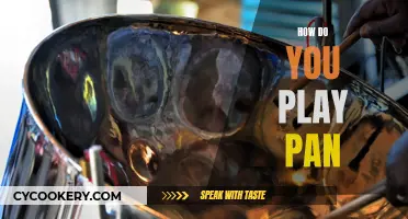 Learn to Play the Pan: A Beginner's Guide