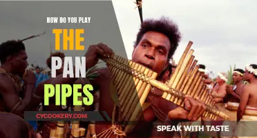 Mastering the Pan Pipes: A Beginner's Guide