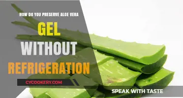 Effective Methods to Preserve Aloe Vera Gel Without Refrigeration