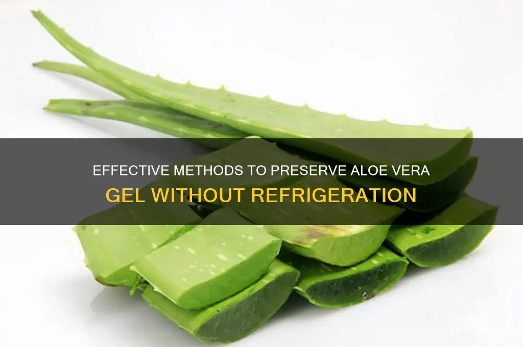 how do you preserve aloe vera gel without refrigeration