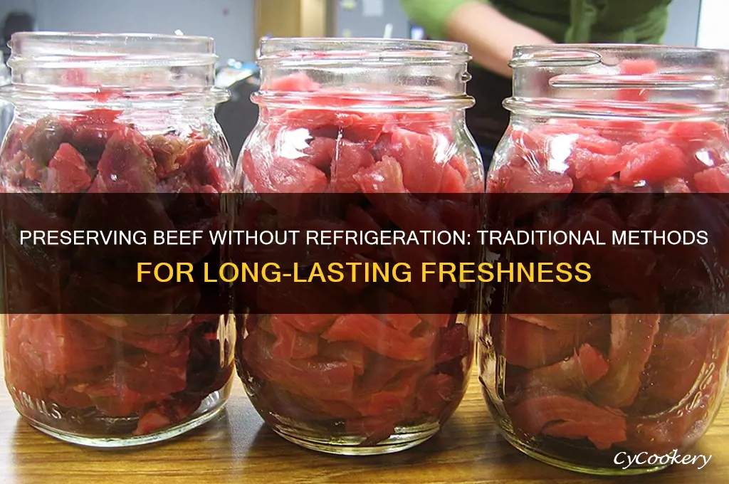 how do you preserve beef without a refrigerator