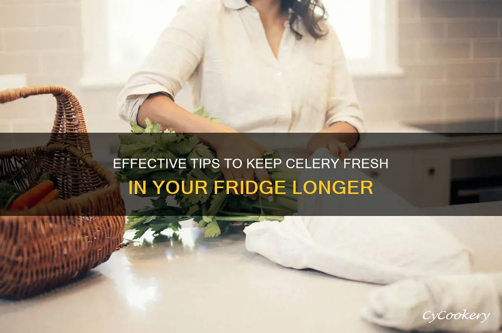 how do you preserve celery in a refrigerator