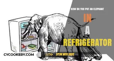 Creative Problem-Solving: The Elephant-in-the-Refrigerator Challenge Explained