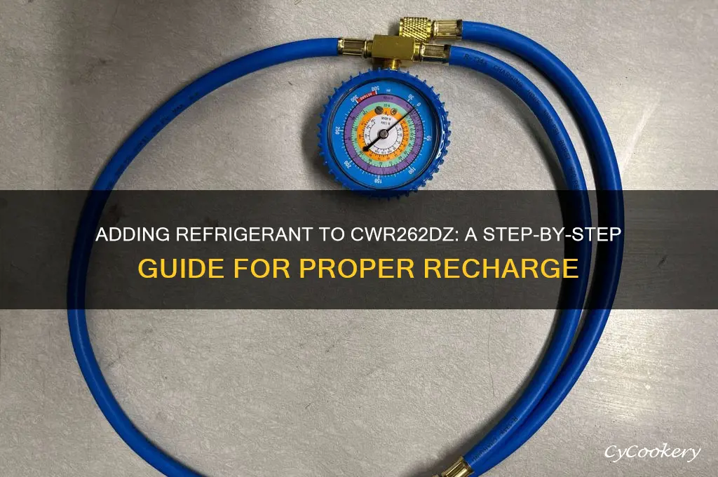 how do you put more refrigerant in cwr262dz