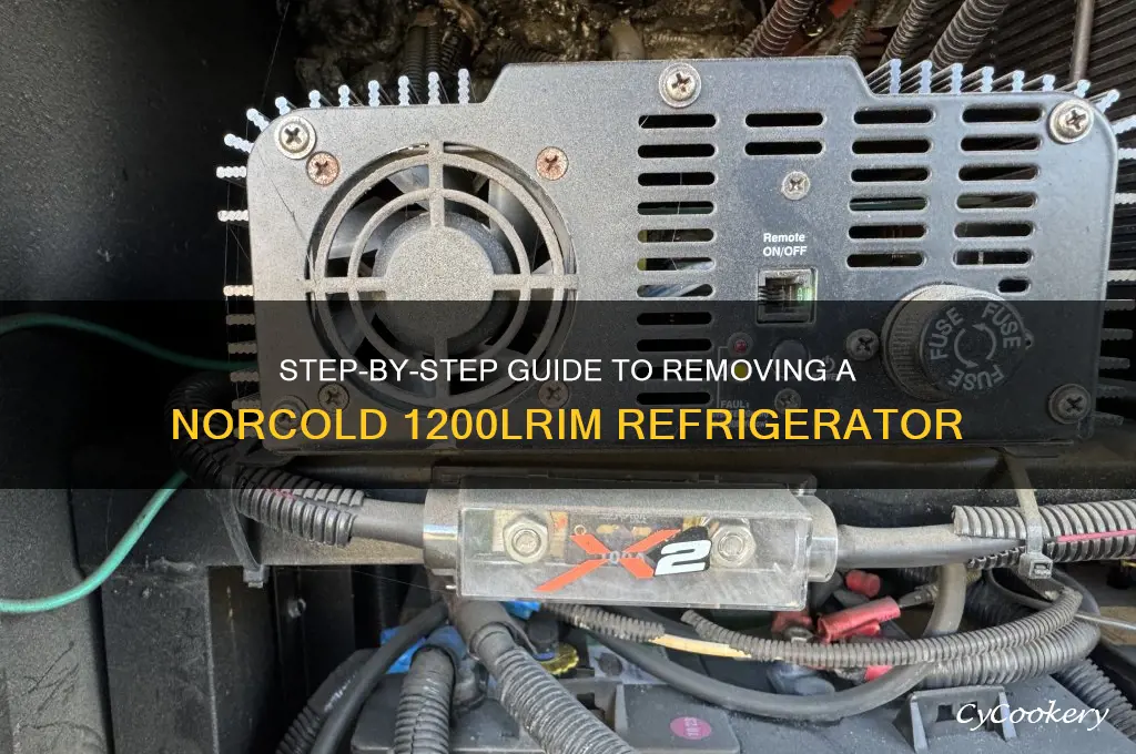 how do you remove a norcold 1200lrim refrigerator