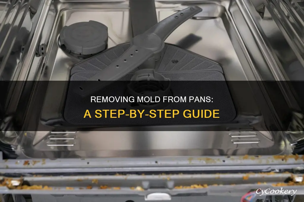 how do you remove mold from pans