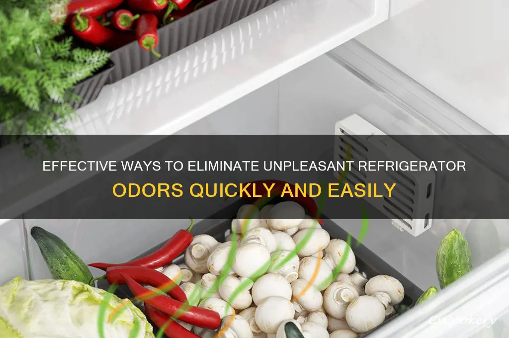 how do you remove odor from refrigerator