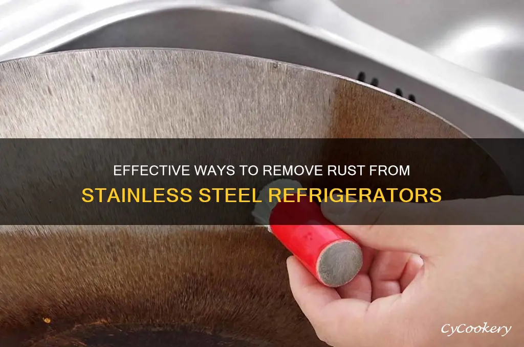 how do you remove rust from stainless steel refrigerator