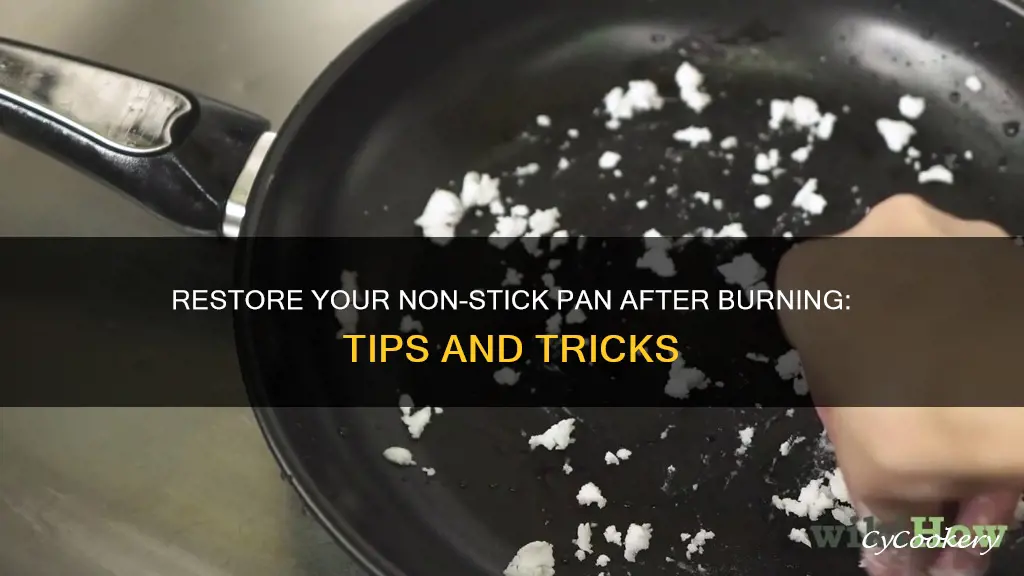 how do you rescue a burned non stick pan