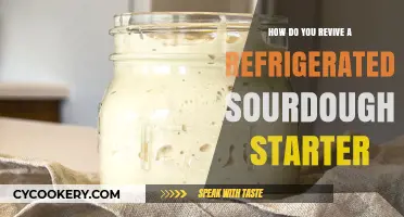 Reviving Refrigerated Sourdough Starter: Simple Steps for Active Fermentation