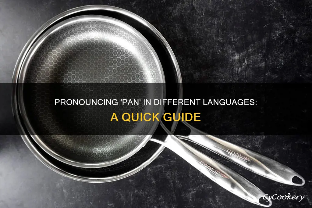 how do you say pan