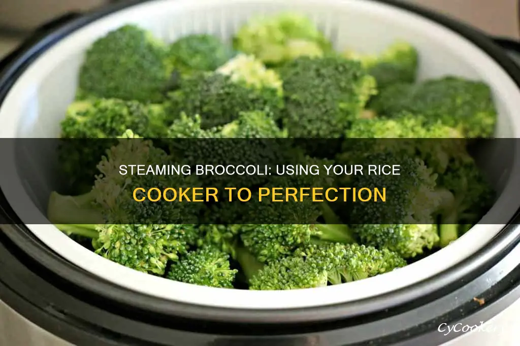 how do you steam broccoli in a rice cooker