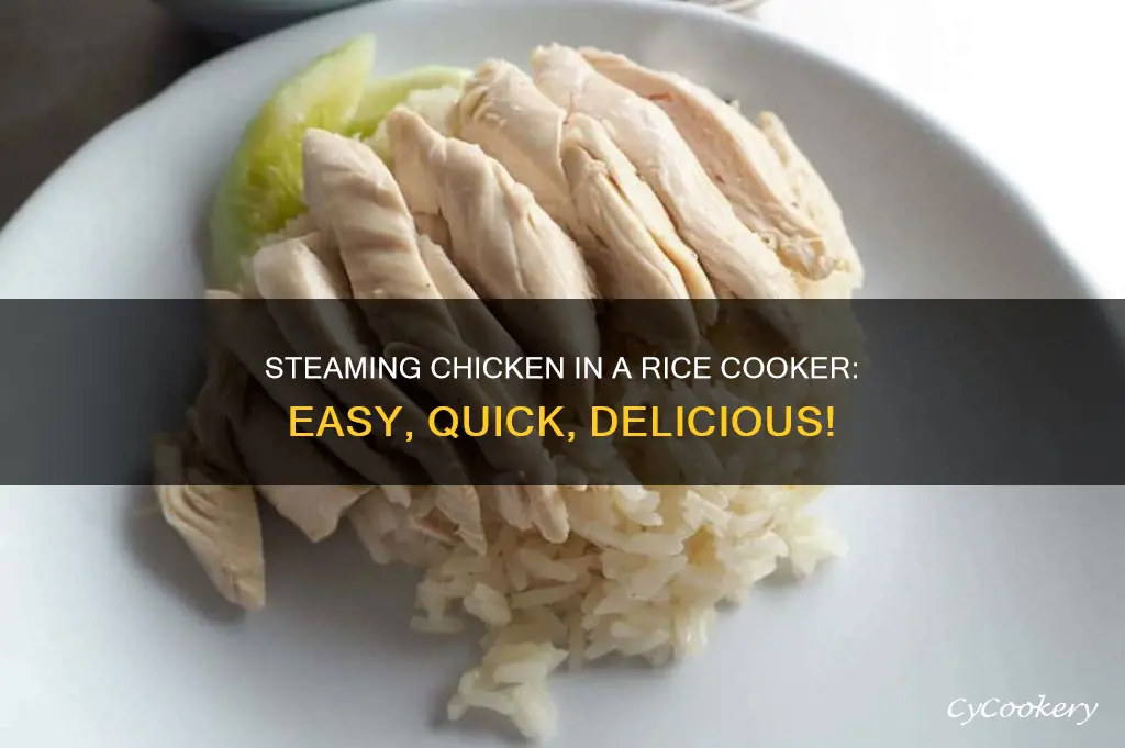 how do you steam chicken in a rice cooker