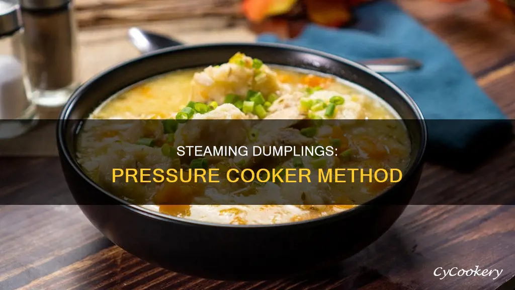 how do you steam dumplings in a pressure cooker