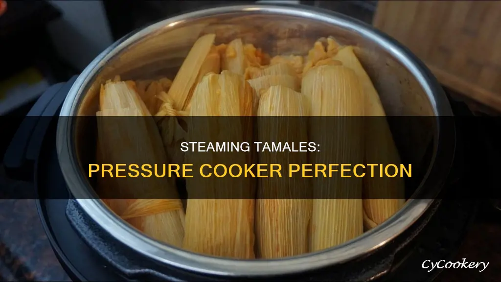 how do you steam tamales in a pressure cooker