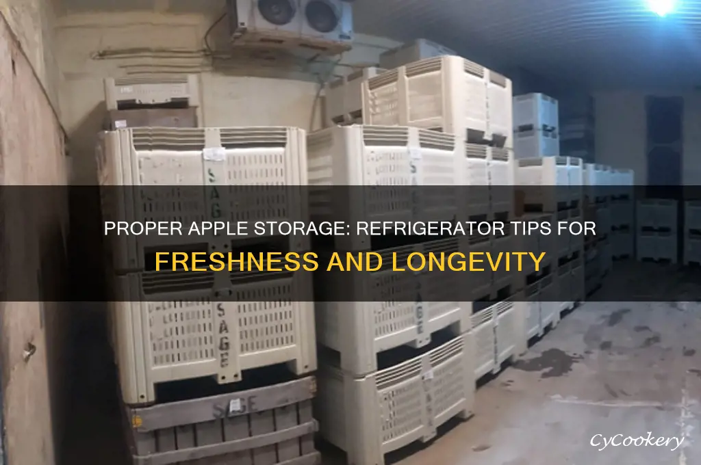 how do you store apples in the refrigerator