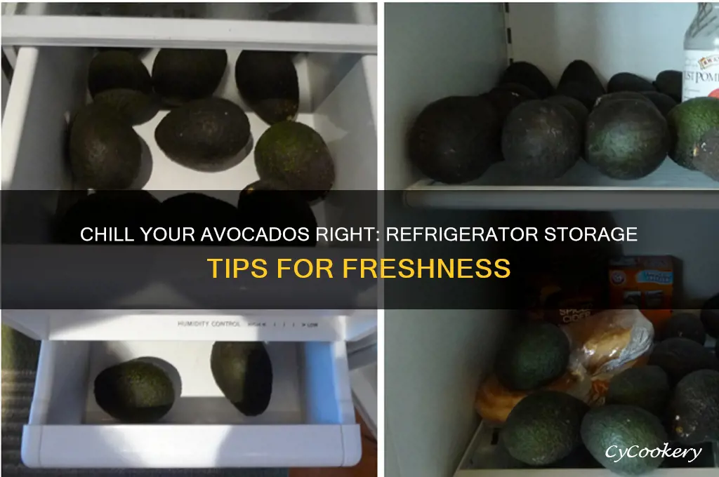 how do you store avocados in the refrigerator