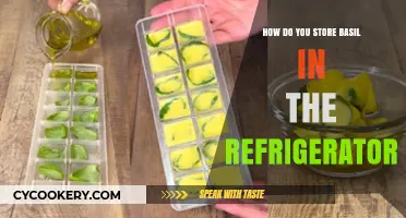 Fresh Basil Storage: Easy Refrigerator Tips for Longer Shelf Life