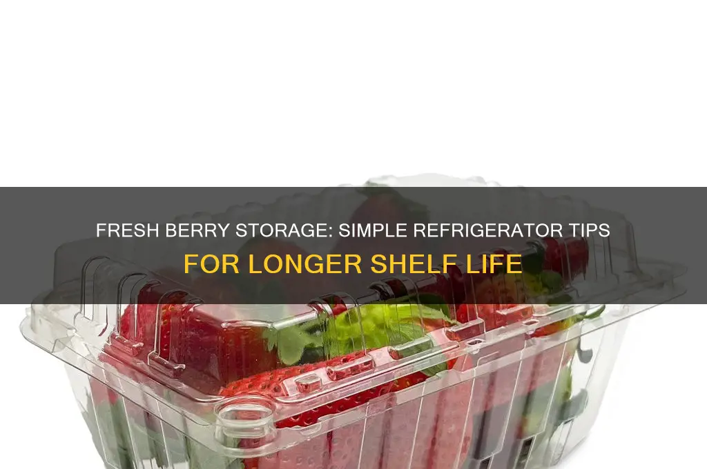 how do you store berries in the refrigerator