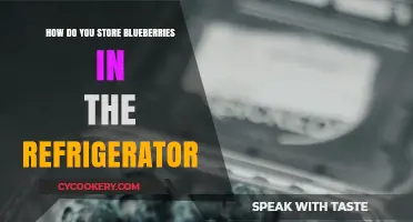 Fresh Blueberries Longer: Refrigerator Storage Tips for Optimal Taste