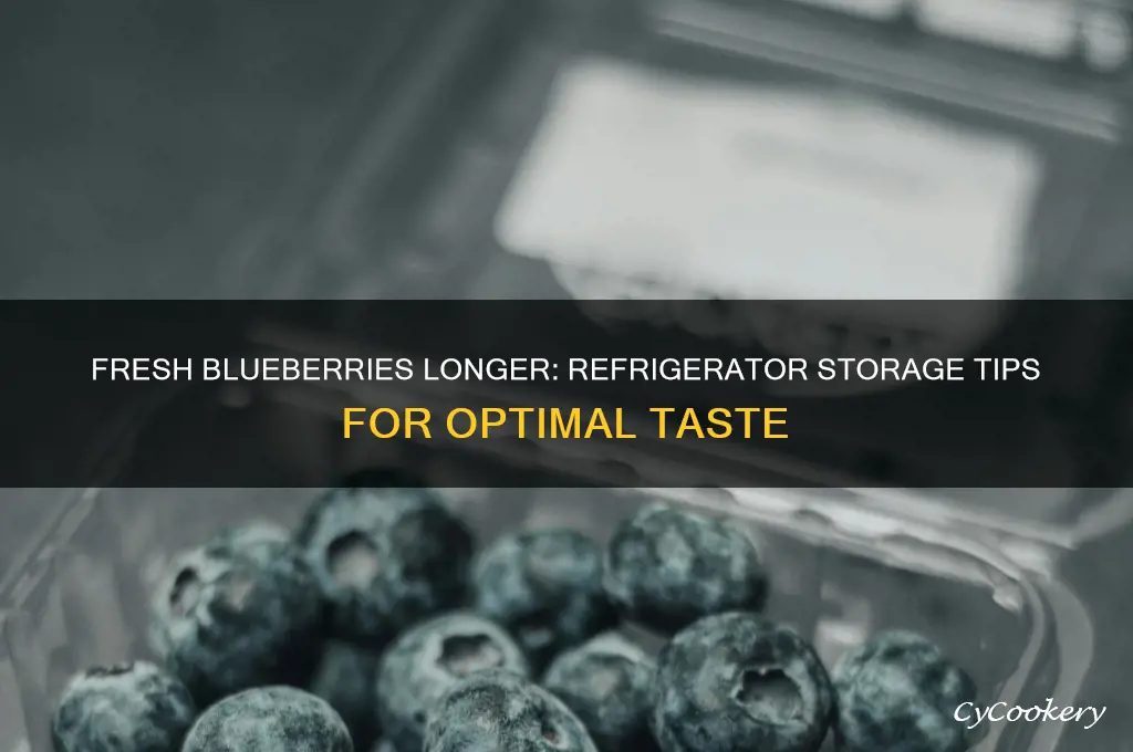how do you store blueberries in the refrigerator